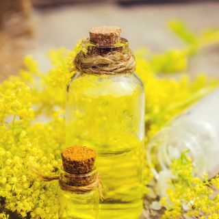 Extrakt aus Goldrutenstängeln